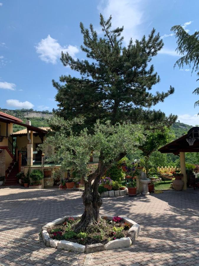 Le Ceppete Appartement Palombaro Buitenkant foto